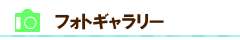 フォトギャラリー